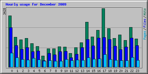 Hourly usage for December 2009