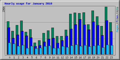 Hourly usage for January 2010